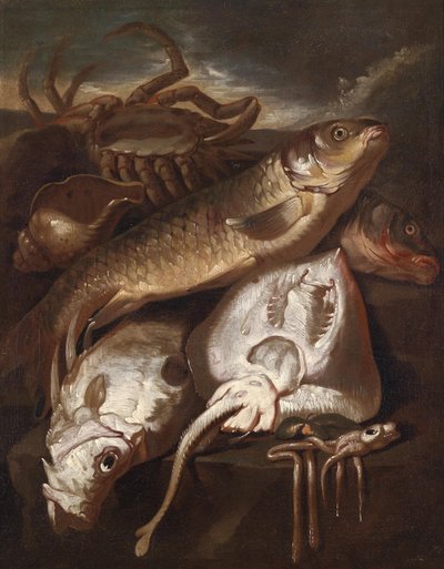 Fish Still Life by Giacomo Francesco Cipper